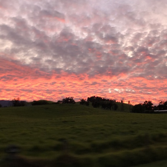 Meet your Posher, Honey - Picture 1 of 1